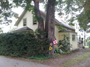 Photograph 2 of 120 Ritchie Street